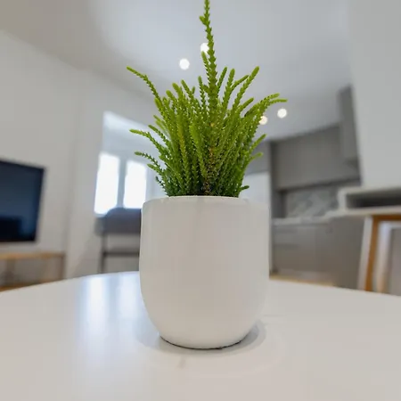 Cozy Seaview Appartement